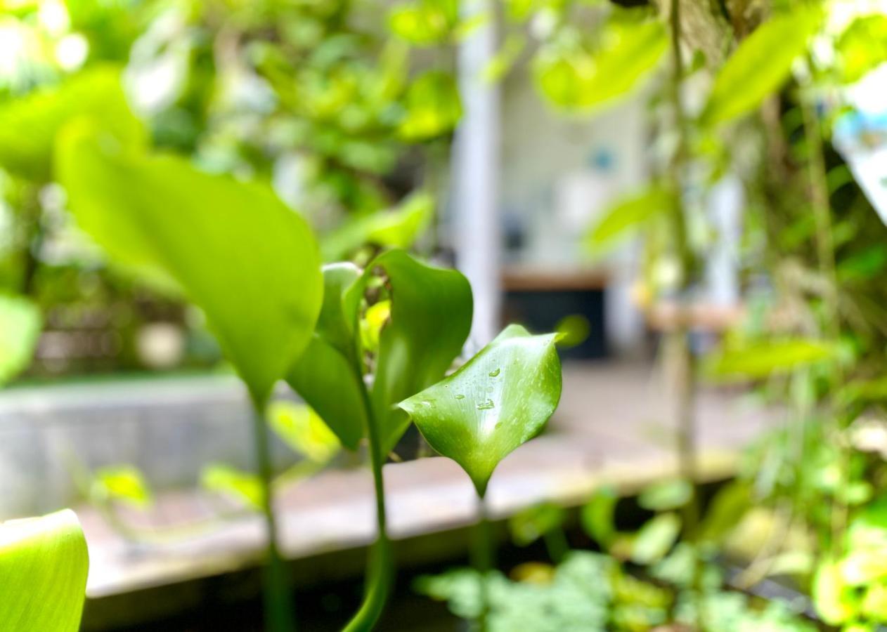 The Hide Hostel At Canggu (Adults Only) Экстерьер фото